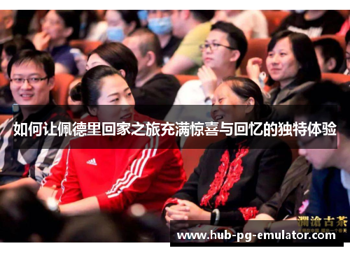 如何让佩德里回家之旅充满惊喜与回忆的独特体验 如何让佩德里回家之旅充满惊喜与回忆的独特体验