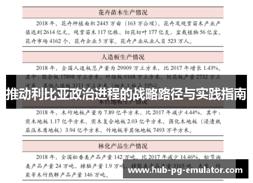 推动利比亚政治进程的战略路径与实践指南 推动利比亚政治进程的战略路径与实践指南